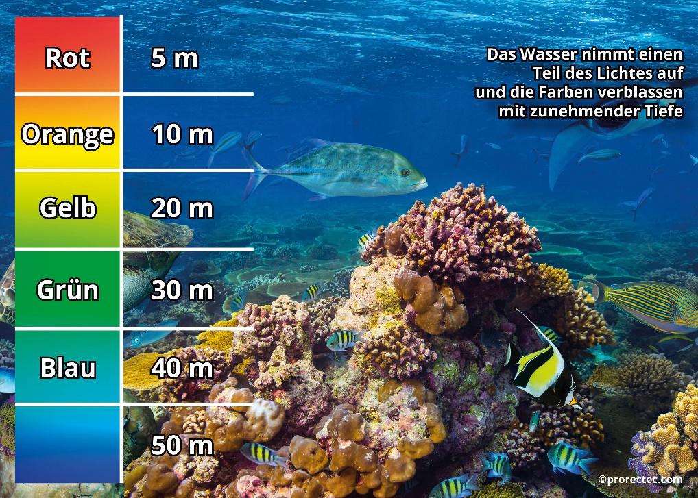 Ein Bild, das Karte enthält.

Automatisch generierte Beschreibung