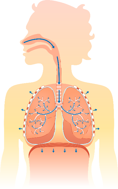 Ein Bild, das Text, Vektorgrafiken enthält.

Automatisch generierte Beschreibung