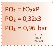 Dieses Bild hat ein leeres Alt-Attribut. Der Dateiname ist Nitrox15.jpg