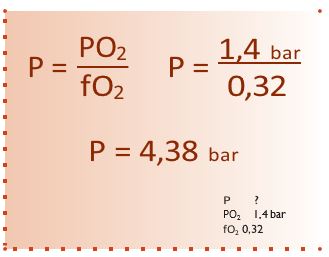 Dieses Bild hat ein leeres Alt-Attribut. Der Dateiname ist Nitrox17.jpg